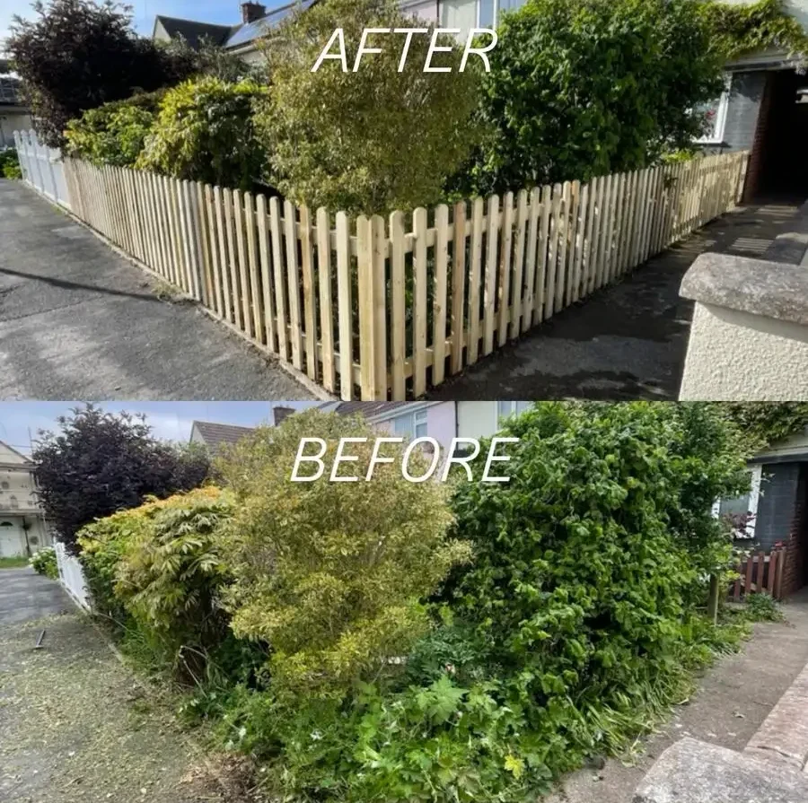 Before and after comparison showing overgrown front garden bushes cleared to make way for a clean light wooden picket fence installation.