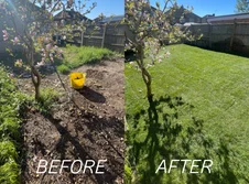 Before and after garden renovation featuring new landscaping and prepared outdoor space