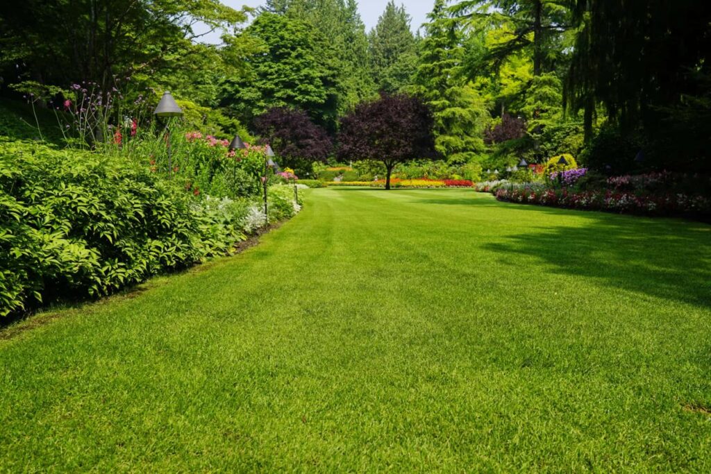 Lush green, perfectly mowed lawn surrounded by vibrant garden borders and mature trees.