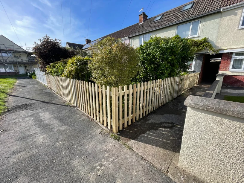Light wood picket fence defining a neat front garden boundary along a residential driveway.