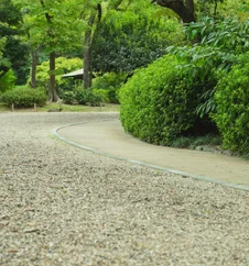 Curved garden pathway surrounded by lush greenery in a landscaped residential garden.