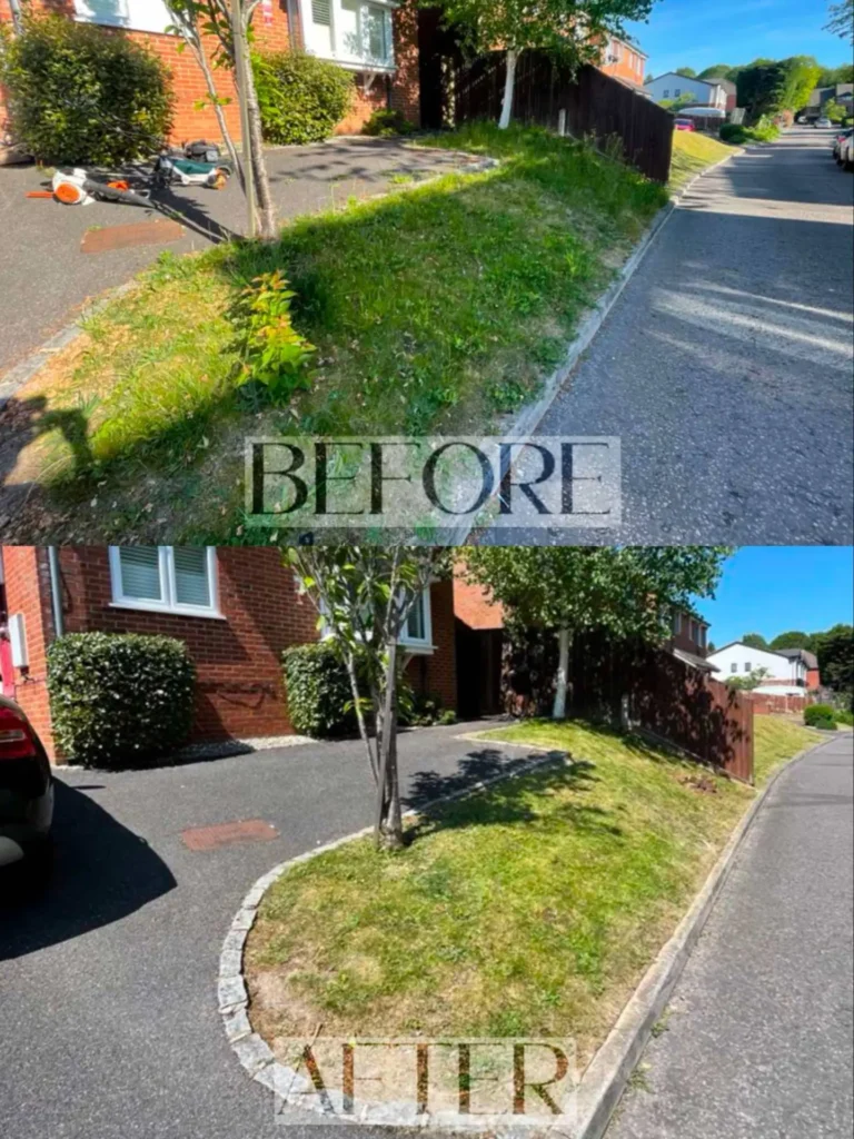 Before and after lawn care and lawn maintenance services by Elite Garden & Build in Slough.