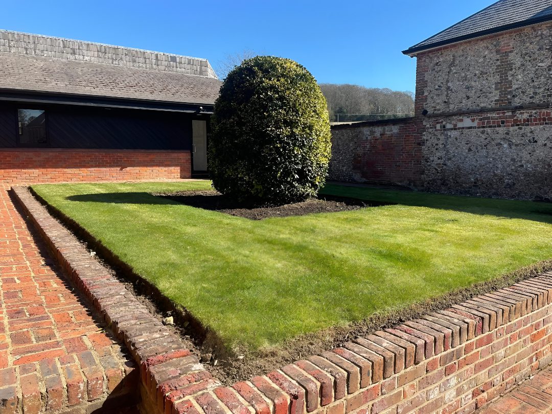Freshly installed green lawn with neatly trimmed hedges and brick edging in a professionally landscaped residential garden in Slough.