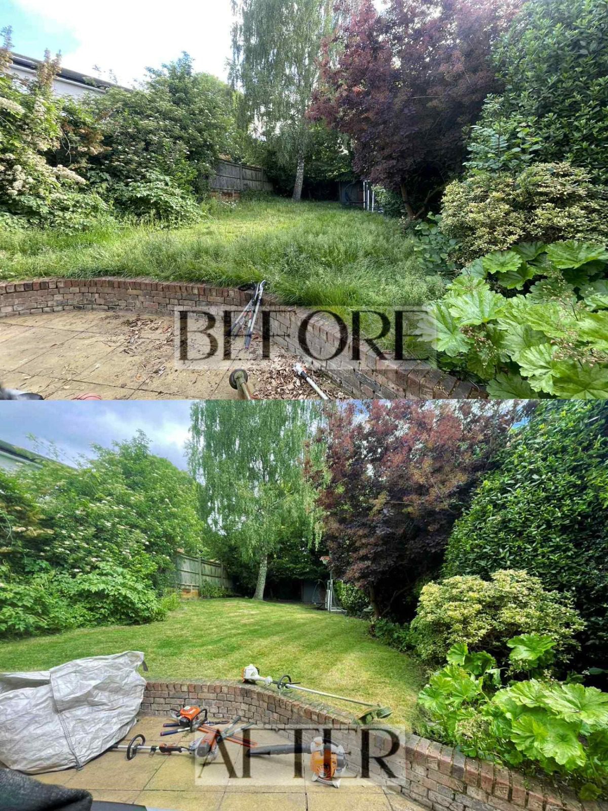 before and after garden maintenance and lawn improvement in Slough