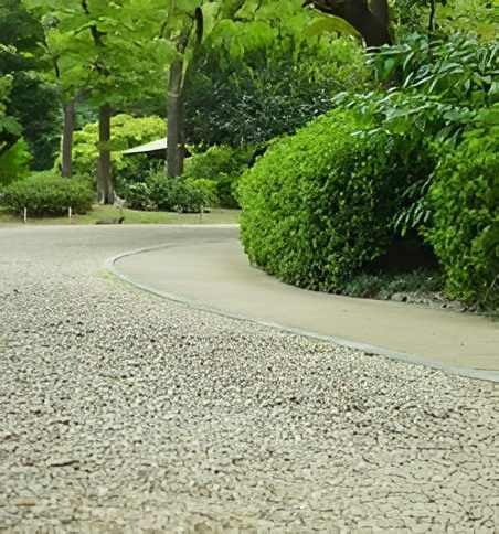Block paved garden pathway surrounded by plants and garden borders Title: