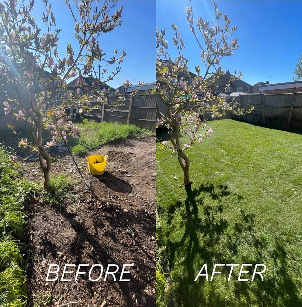 Completed garden transformation with new landscaped outdoor area