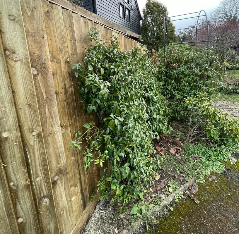 Timber garden fence repair and replacement in Slough