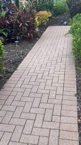 Garden paving pathway surrounded by landscaped plants