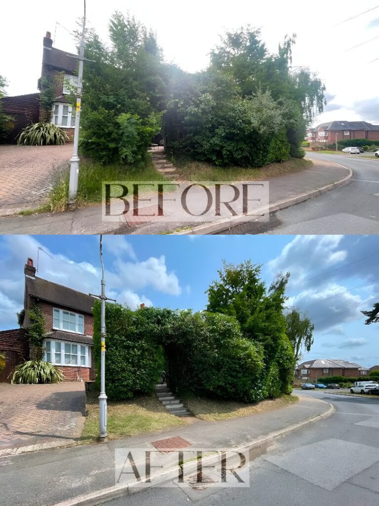 Hedge trimming before and after showing a neat garden boundary in Slough