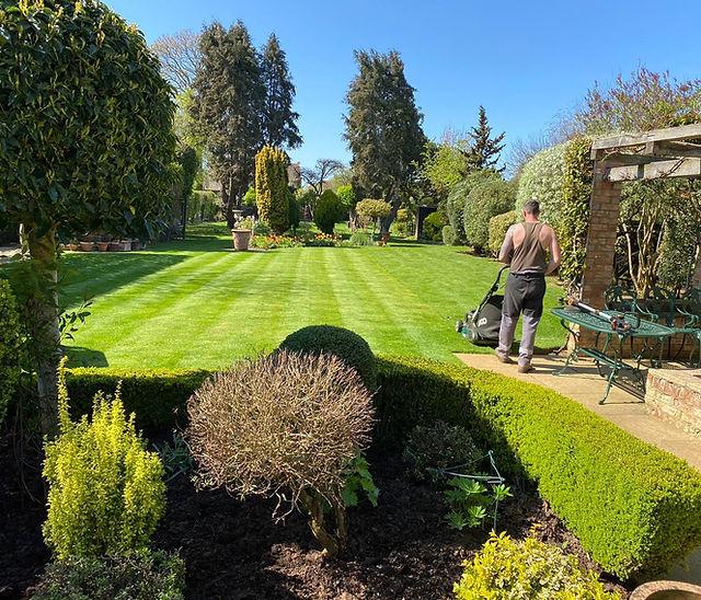 Professional Garden Maintenance & Lawn Care Services in Slough
